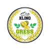 Klino